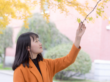 在菲律宾护照丢失还能回国吗